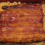 Japan - Unagi Don